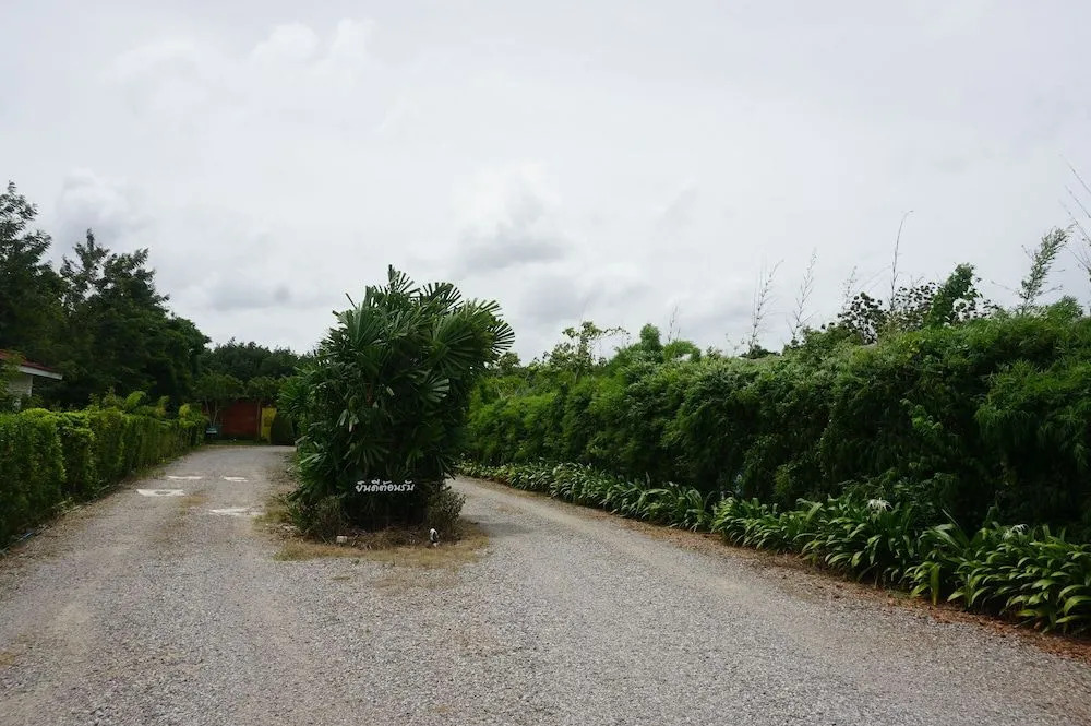 Rommai Plai Tawan Trang