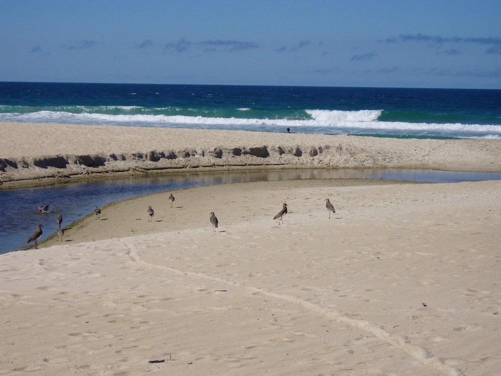 Pousada Natur Campeche
