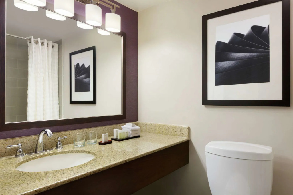 Embassy Suites by Hilton Santa Ana Orange County Airport