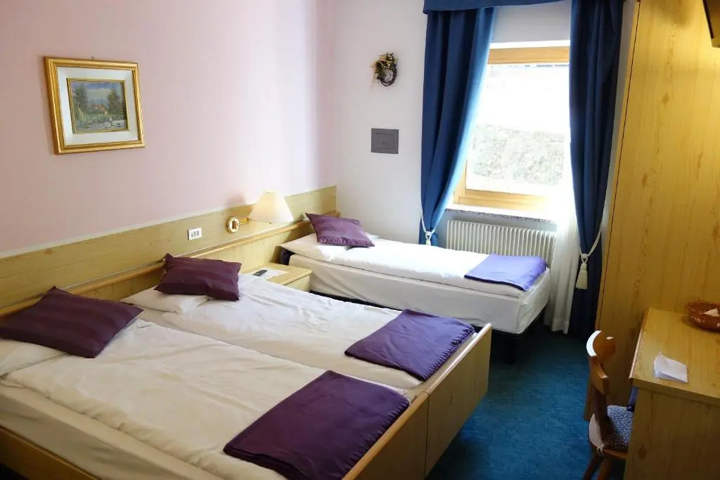 Alpine Touring Hotel-petfriendly
