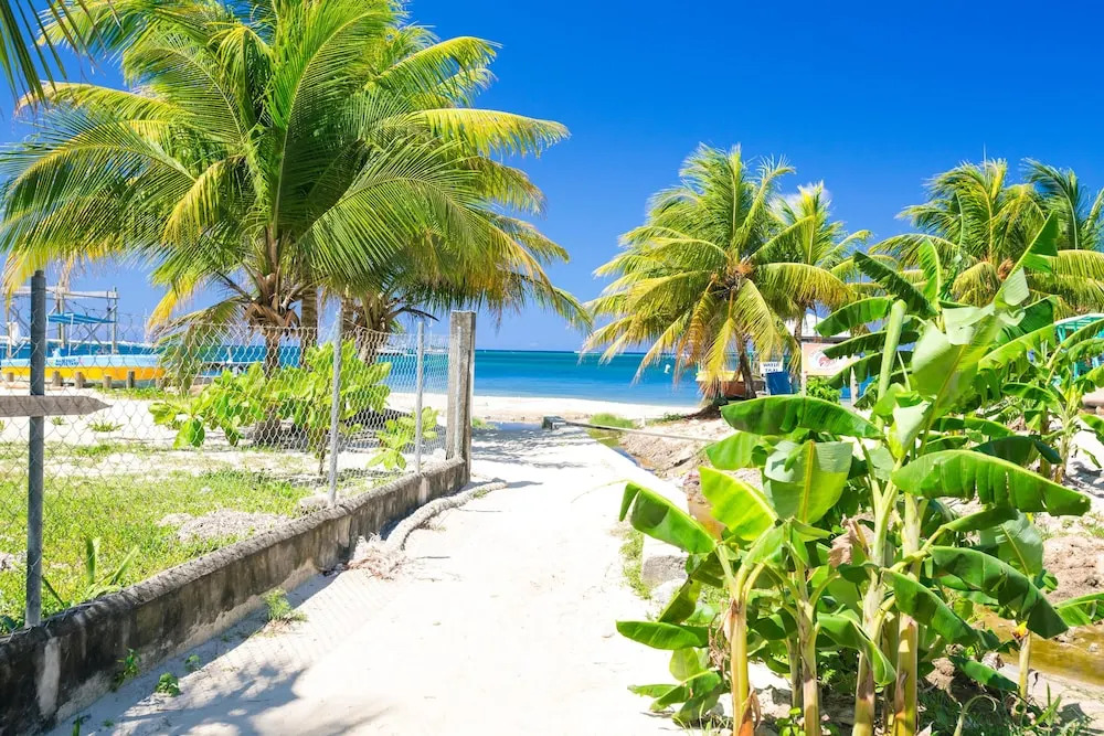 Green Bamboo Cabana