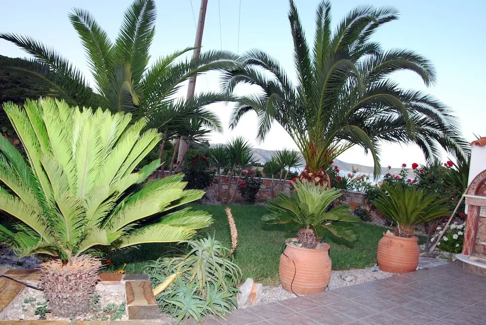 Villa Elena