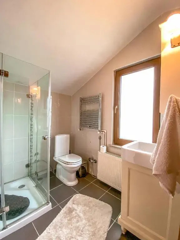 Havuzlu Mustakil Lüx Villa Doğa SAPANCA 150 MT2