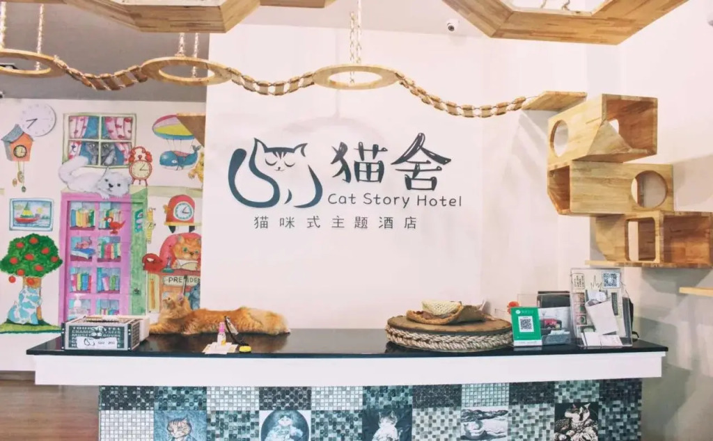 Cat Story Hotel