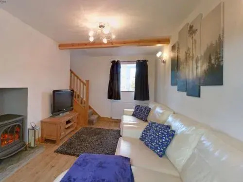 House Standary Llandrindod Wells