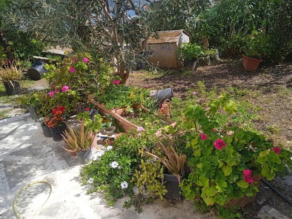 Villa Athina 3