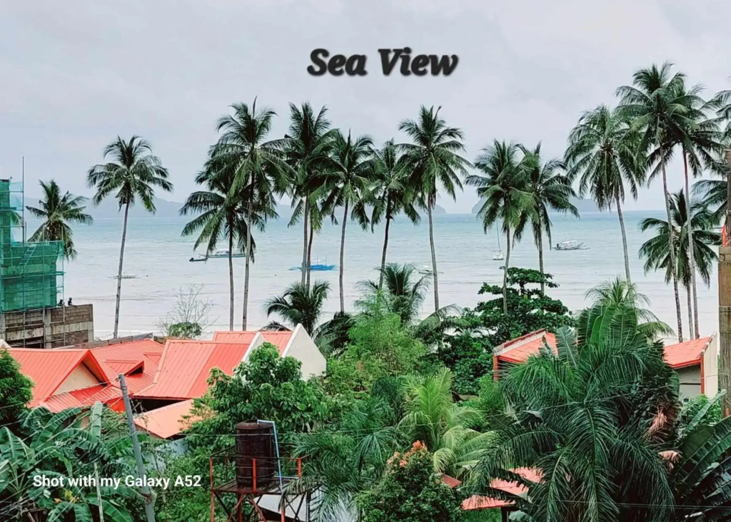 OYO 712 Island Hop Nido Hostel