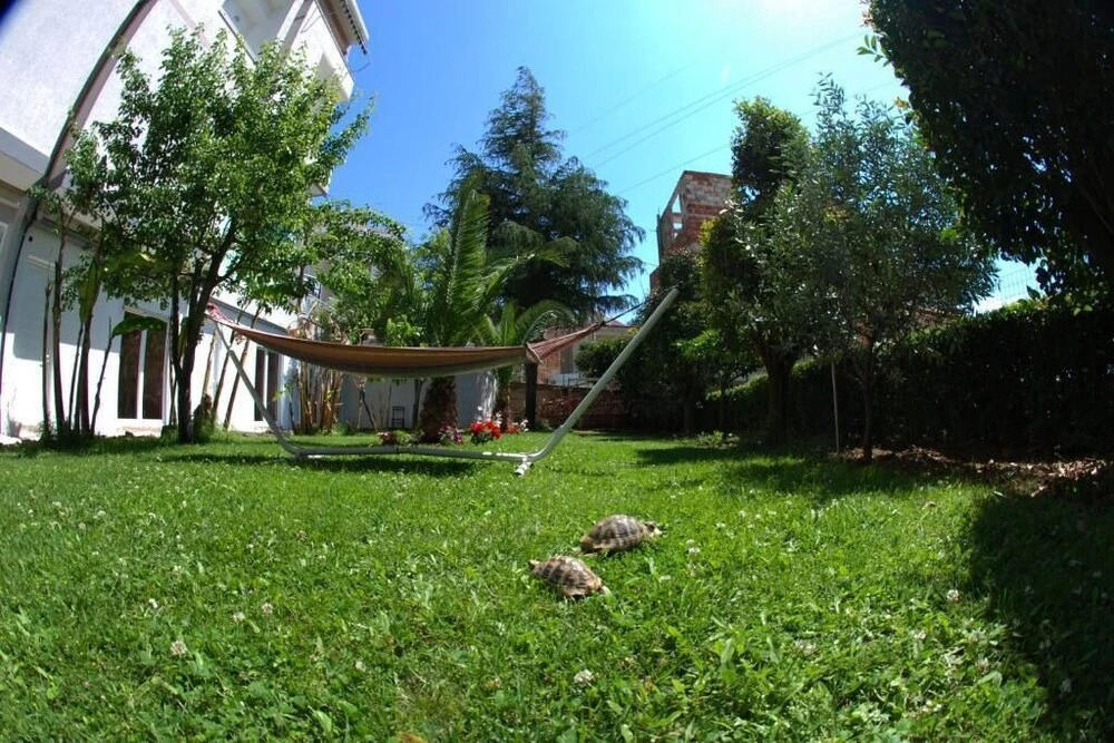 Villa Green Garden