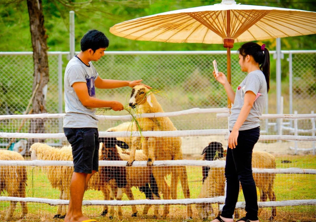 Samila Camping and Resort Songkhla