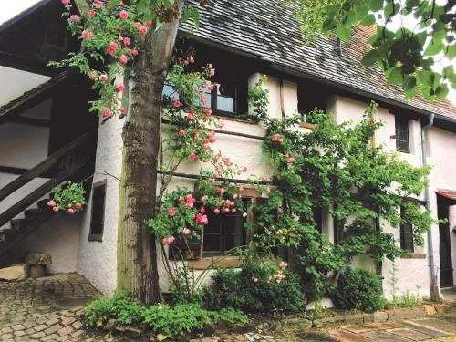 1463 Apartmenthaus & Restaurant