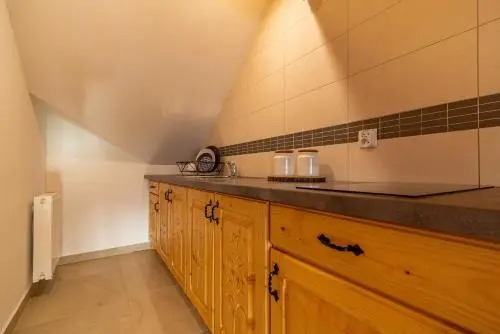 WILLA OLSZA wood house & mountain view & sauna