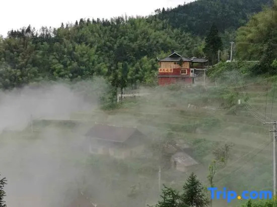 Ziquejie Zhuofan Home Homestay