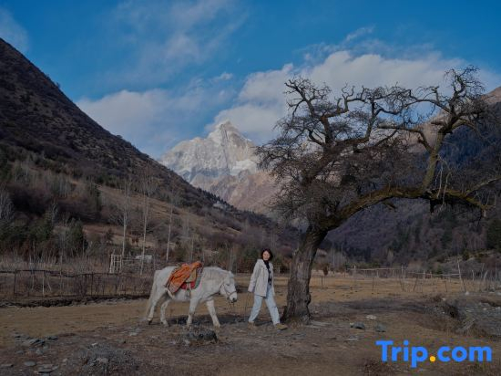 Siguniang Mountain Yangwangxingkong Snow Mountain Hotel[The best spot to view snow-capped mountains]