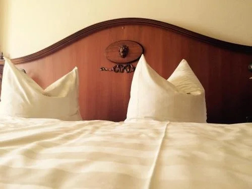 Hotel Goldner Loewe