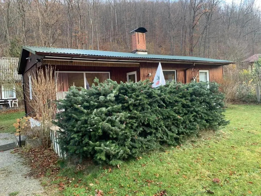 Ferienhaus "Am Reiterhof"