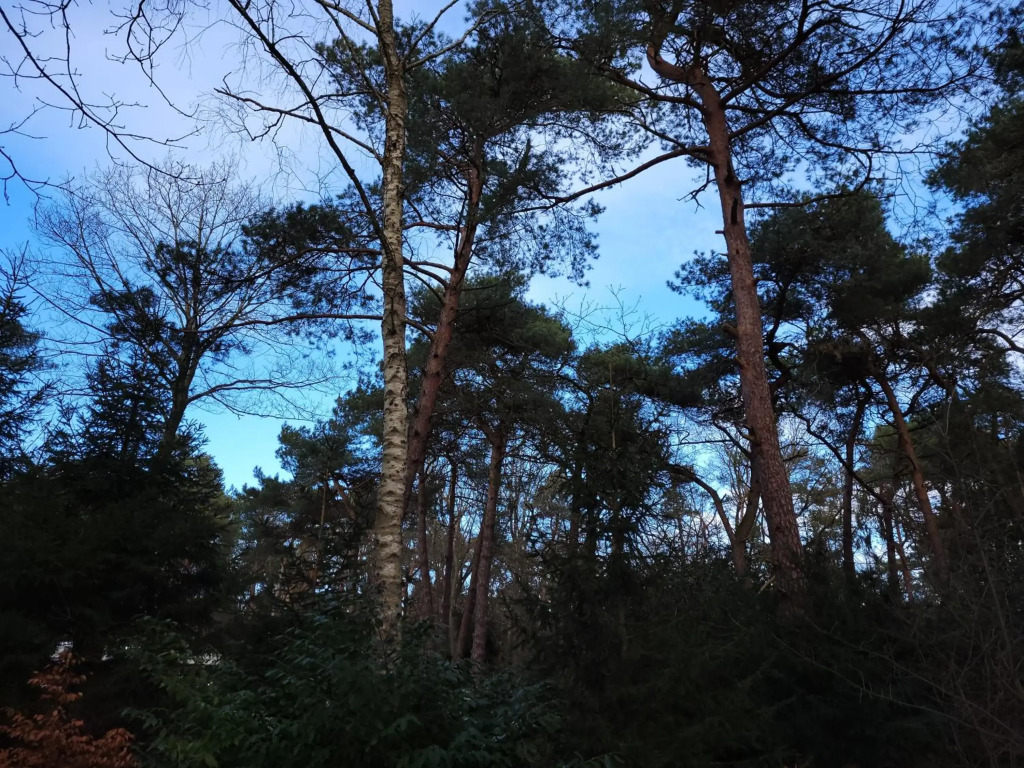 Secret Wellness De Droomtuin