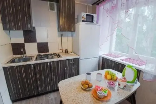 Nine Nights Apartmens On Kalinina 48