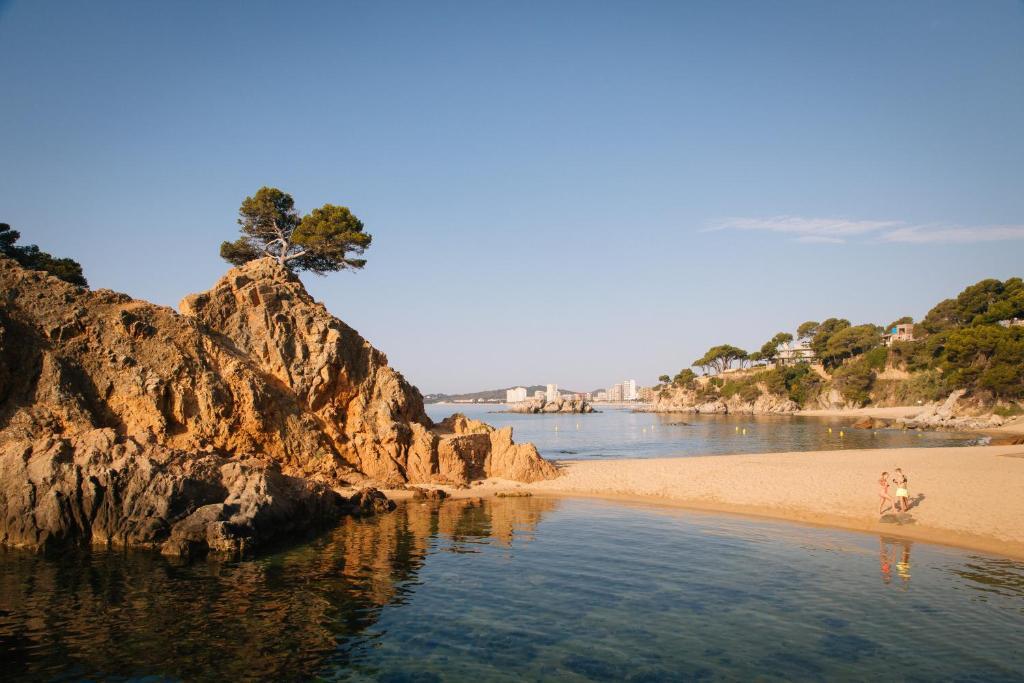 Cap Roig