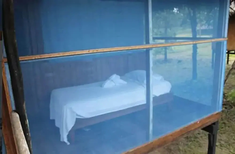 Wimba Jungle Lodge