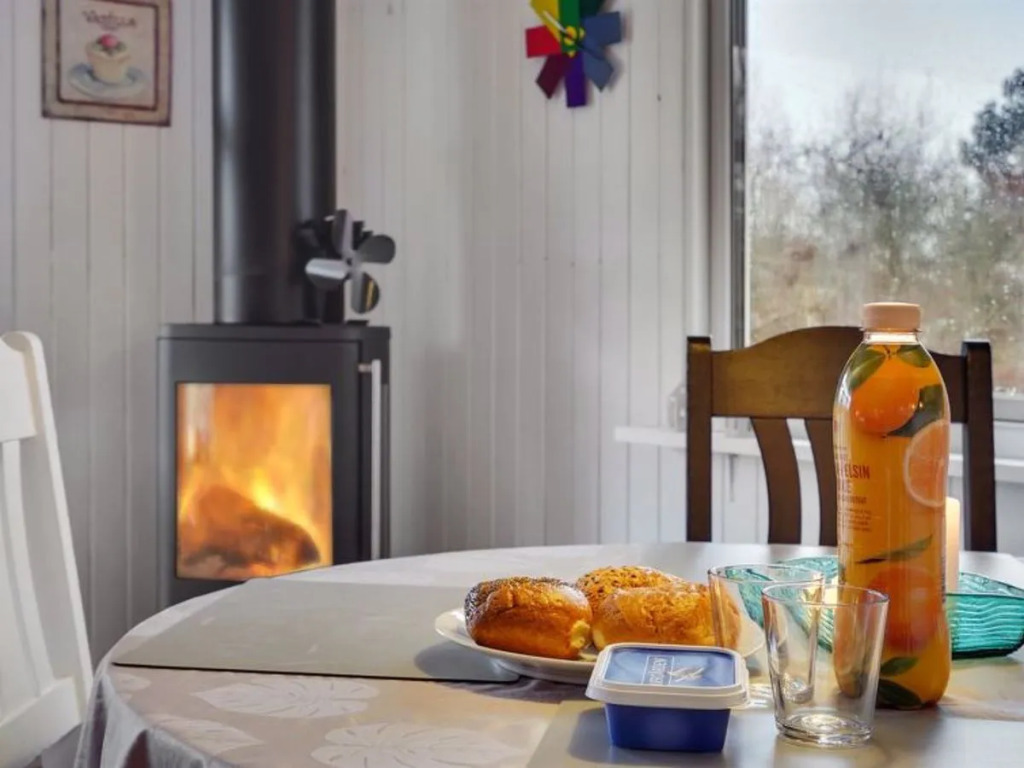 "Fritzie" - 7.2km from the sea in Western Jutland