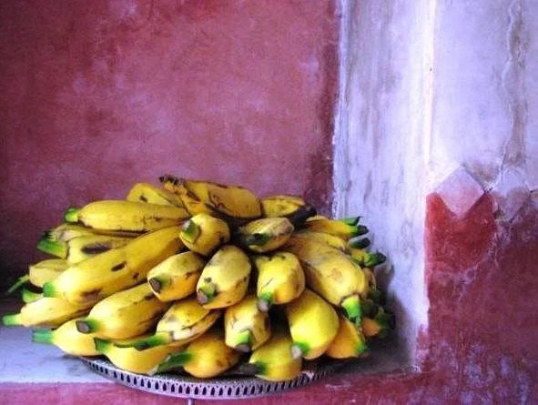 Riad Les Inseparables