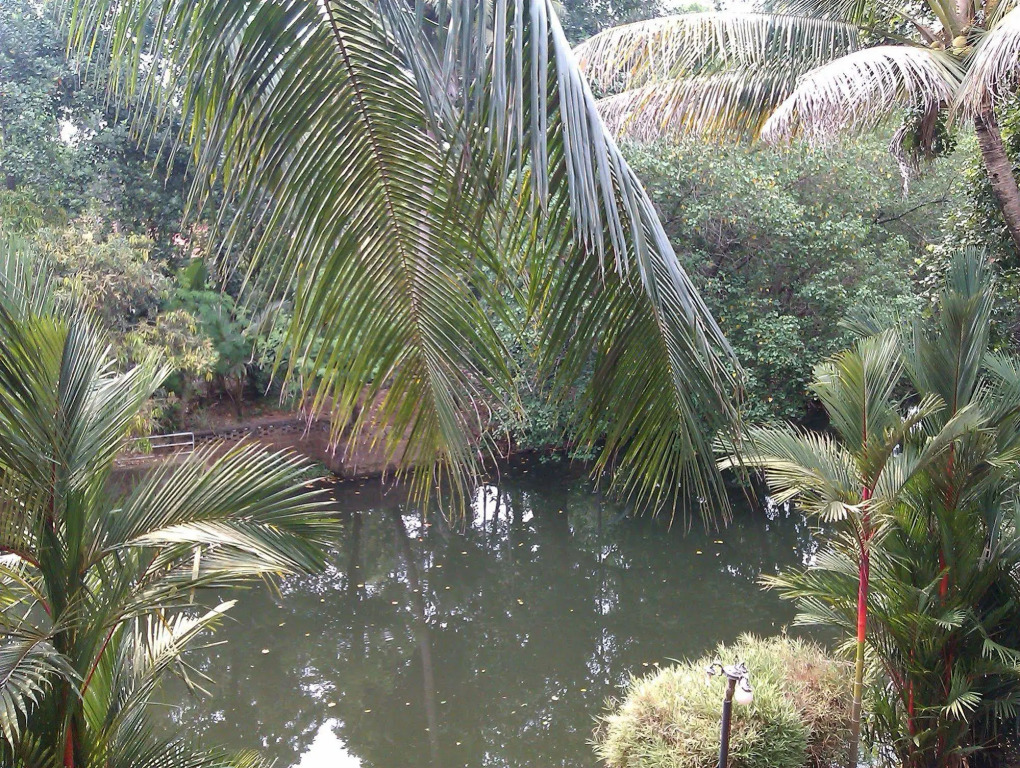 Backwater Retreat