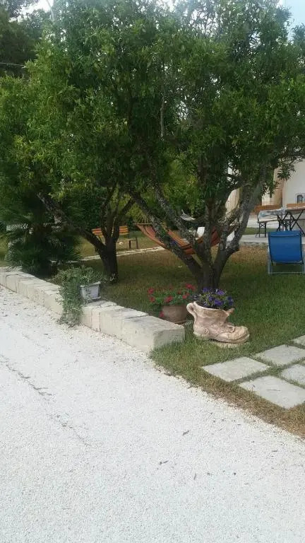 B&B Piccolo Vigneto