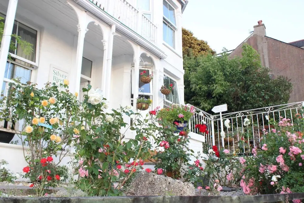 Silver Birch Guest House