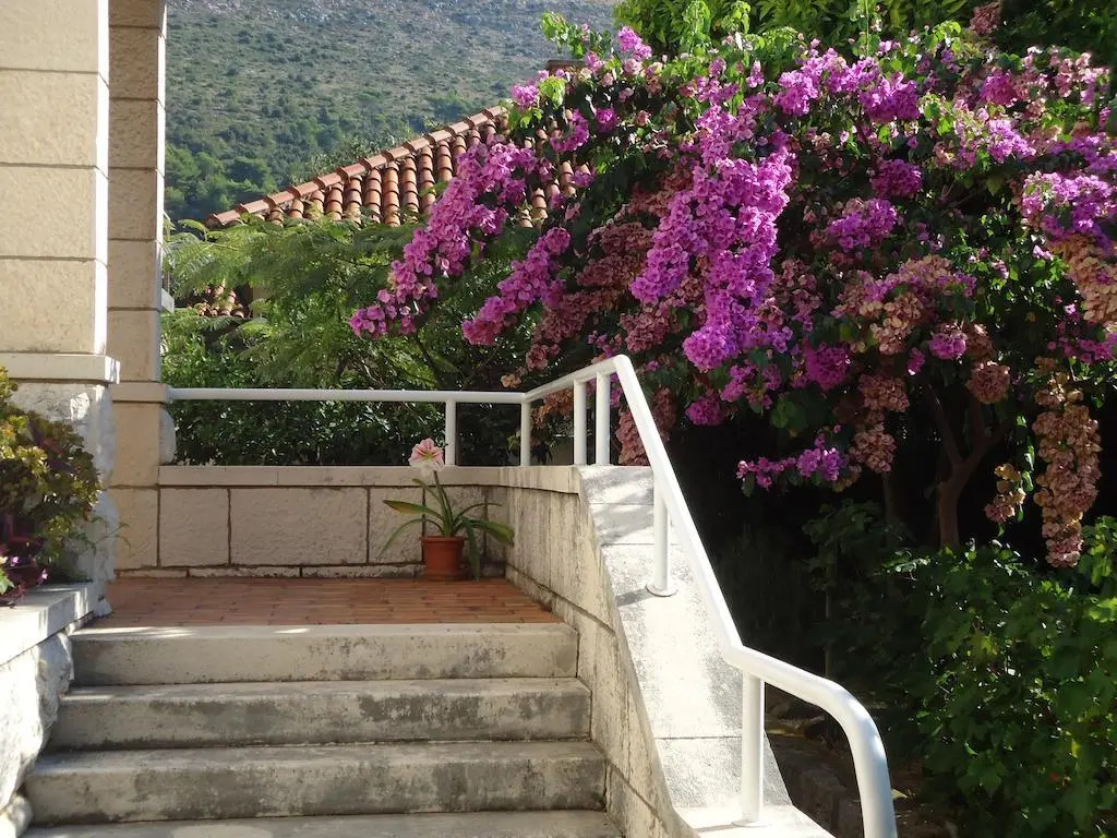 Apartments Villa Falkoni