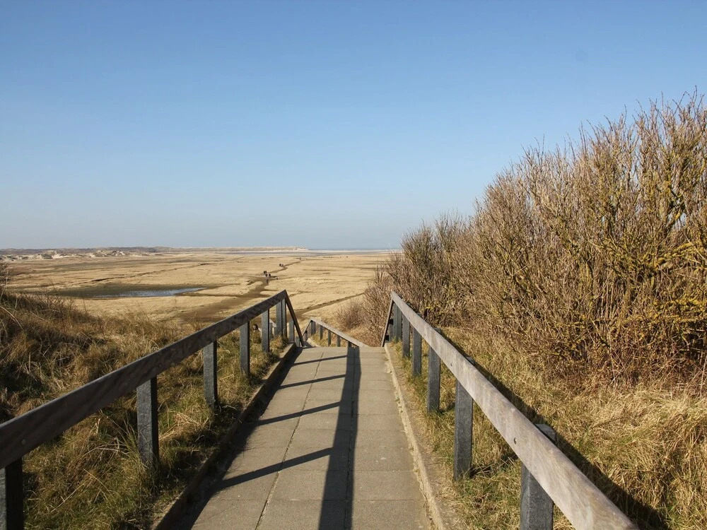 Luxurious Holiday Home With Billiards Table and Sauna, Atop the Dunes in De Koog