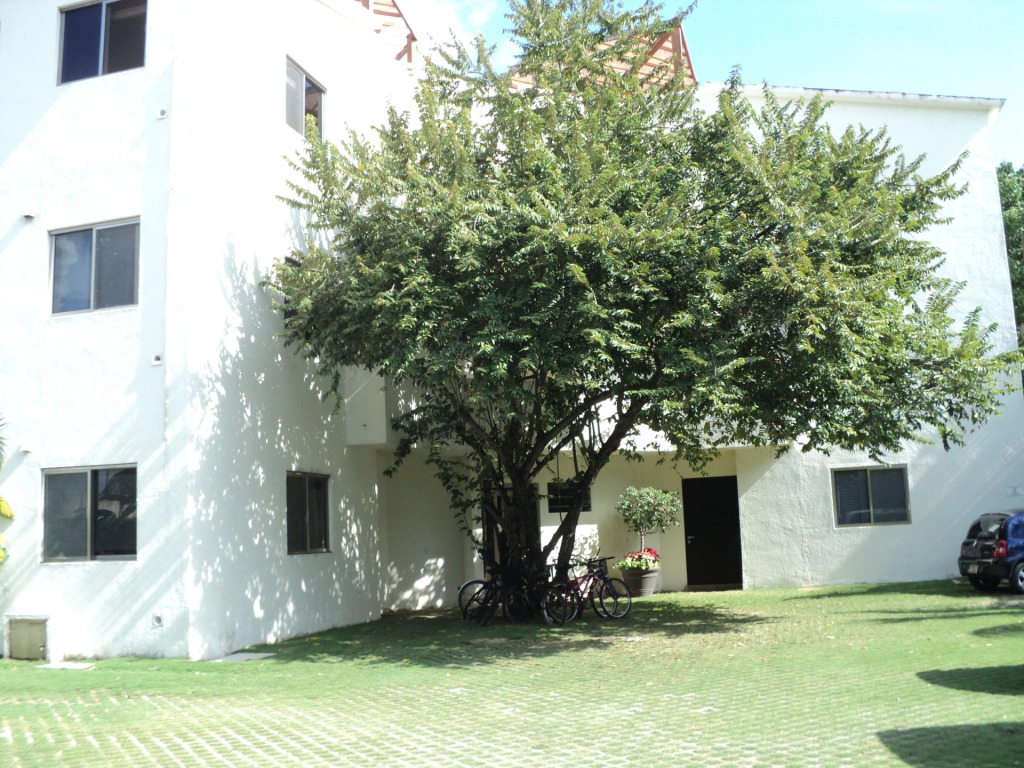 Los Amigos B&B