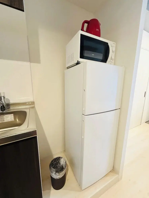 Newly built apartment Tokyo TimeTraveler
