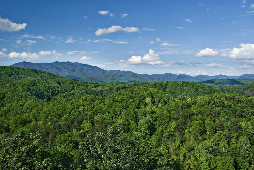 Kings Mountain Lodge - 4 Br Cabin