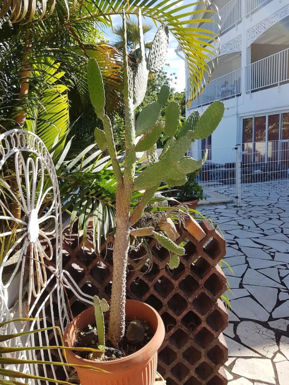 Apartment With 2 Bedrooms in Saint-paul , With Wonderful sea View, Shared Pool, Furnished Terrace - 7 km From the Beach