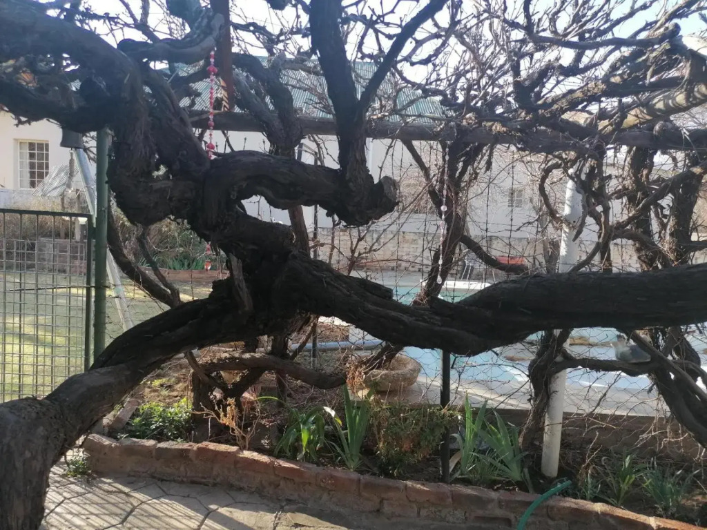 Anker Guesthouse