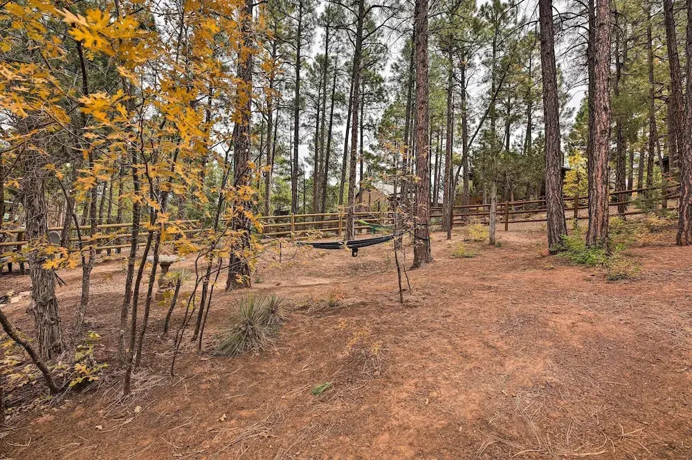 Trail Access: Pet-Friendly Cabin in Show Low