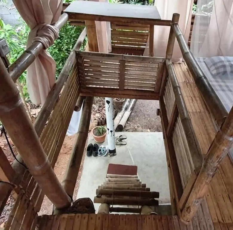 Dream-Big Eco Hostel