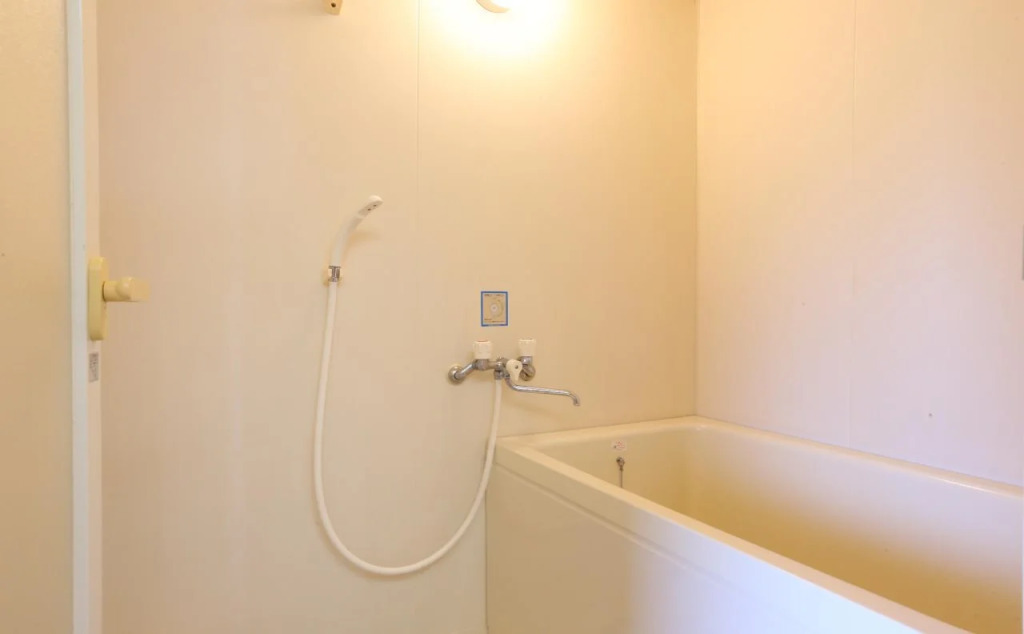 onsen hotel OMOTO