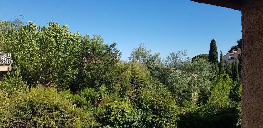 Studio Avec Terrasse 2 Personnes (Adults Only)