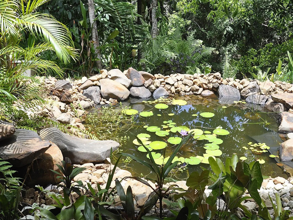 Tropical Bliss bed and breakfast