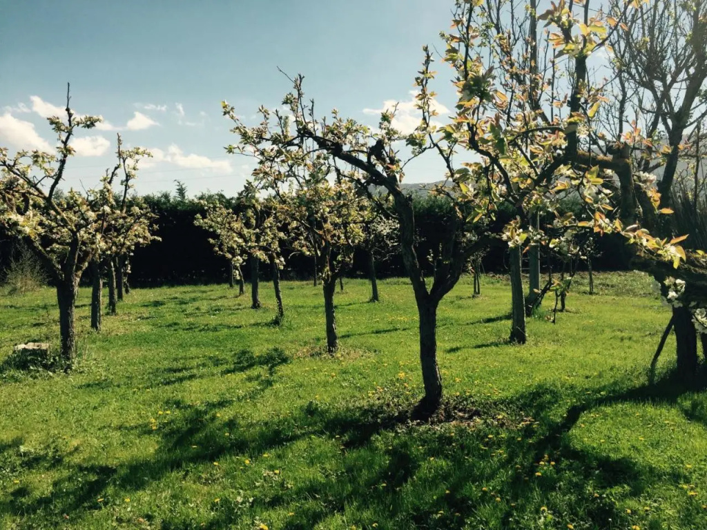 Bed & Breakfast Le Piagge