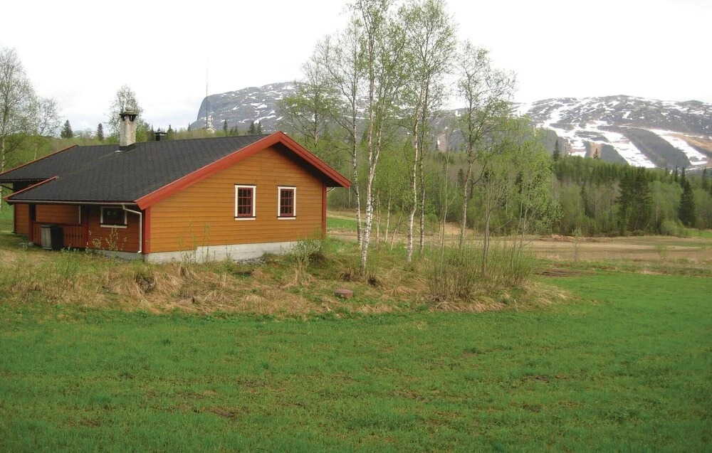 Holiday Home Hemsedal Rusto Raunhaug