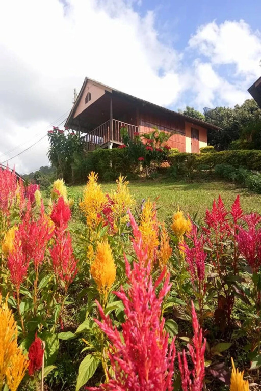Phucheefah Homestay