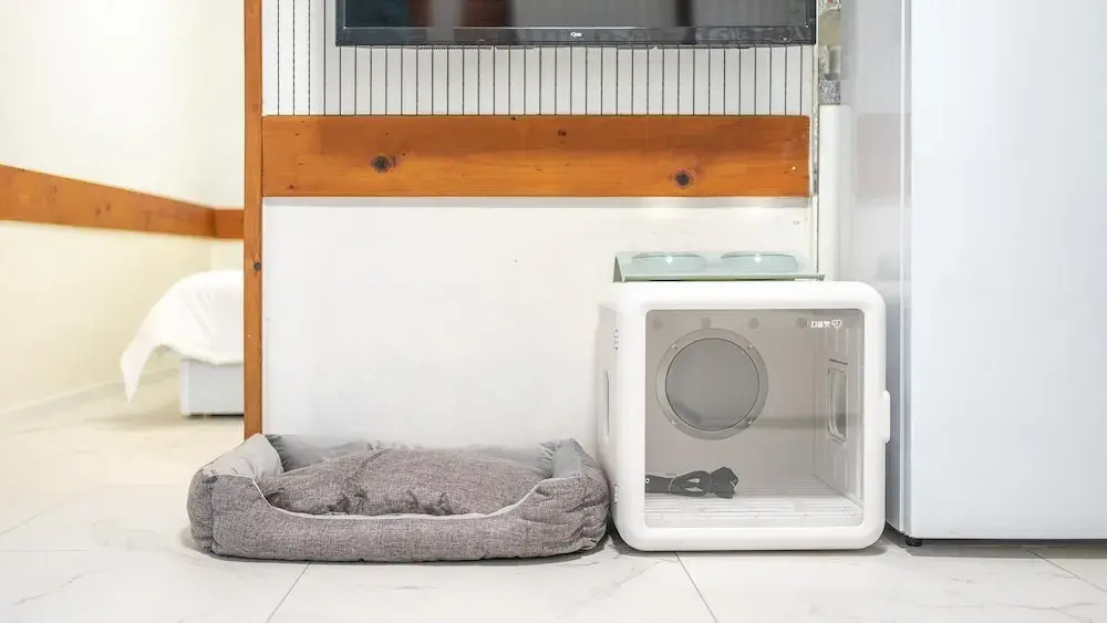 Seonjaedo Gaekkul House pet Pension