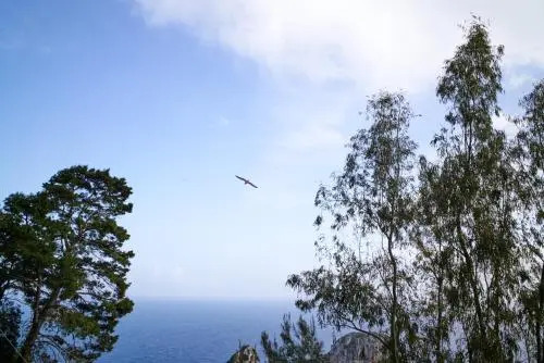 Villacore Capri