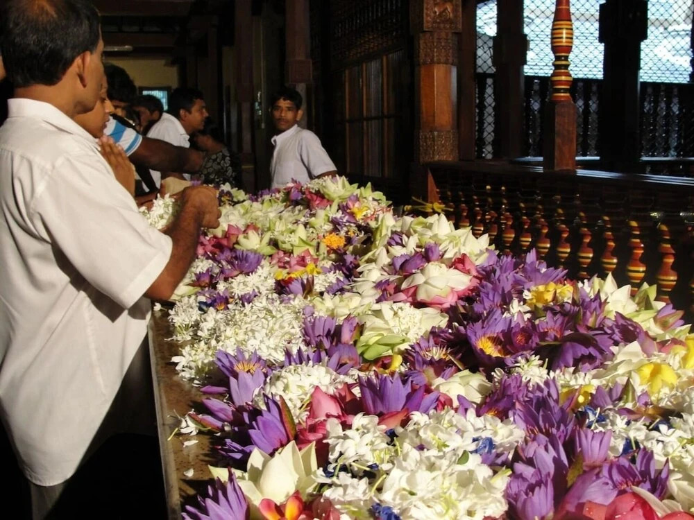 Explore Central Srilanka