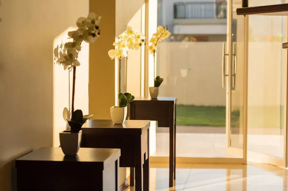 The Studio Guest House