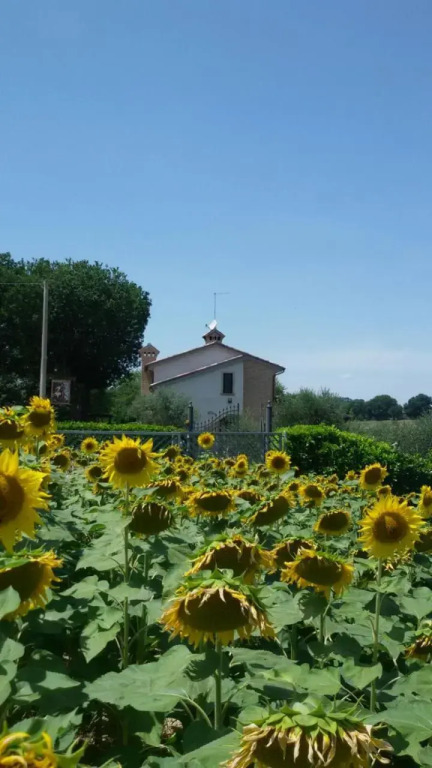 B&B Principerto