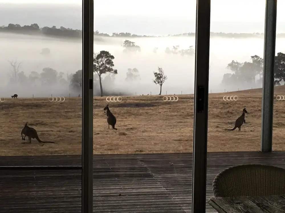Margaret River Farmhouse - Serene Bushland Getaway