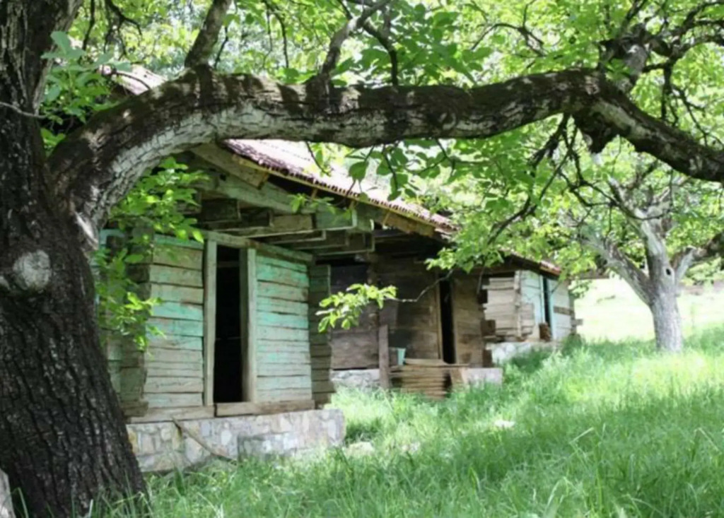Cabañas La Tierra Grande